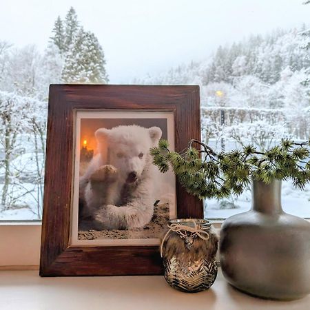 Au Petit Bois Apartment Chamonix Ngoại thất bức ảnh