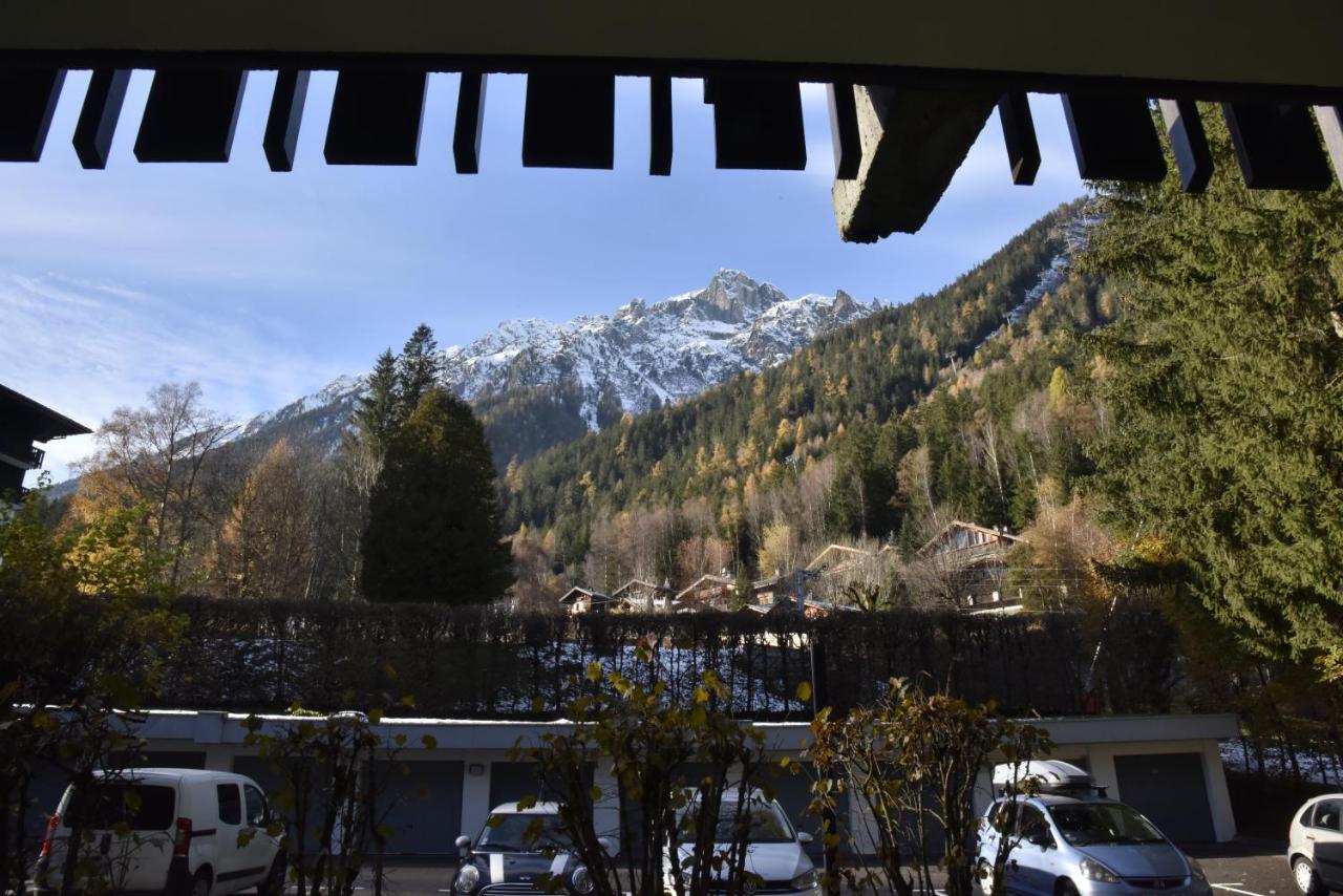 Au Petit Bois Apartment Chamonix Ngoại thất bức ảnh