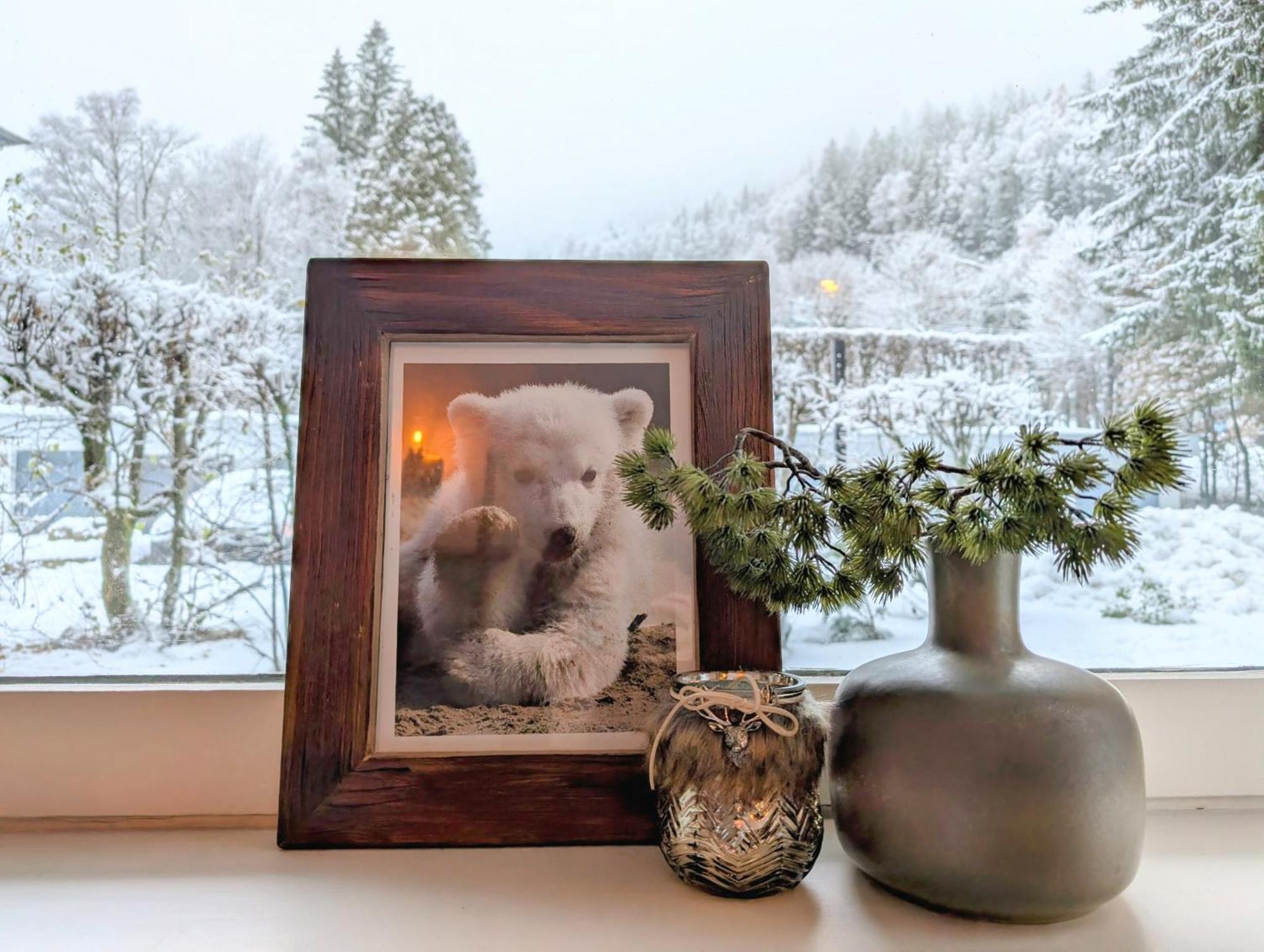 Au Petit Bois Apartment Chamonix Ngoại thất bức ảnh
