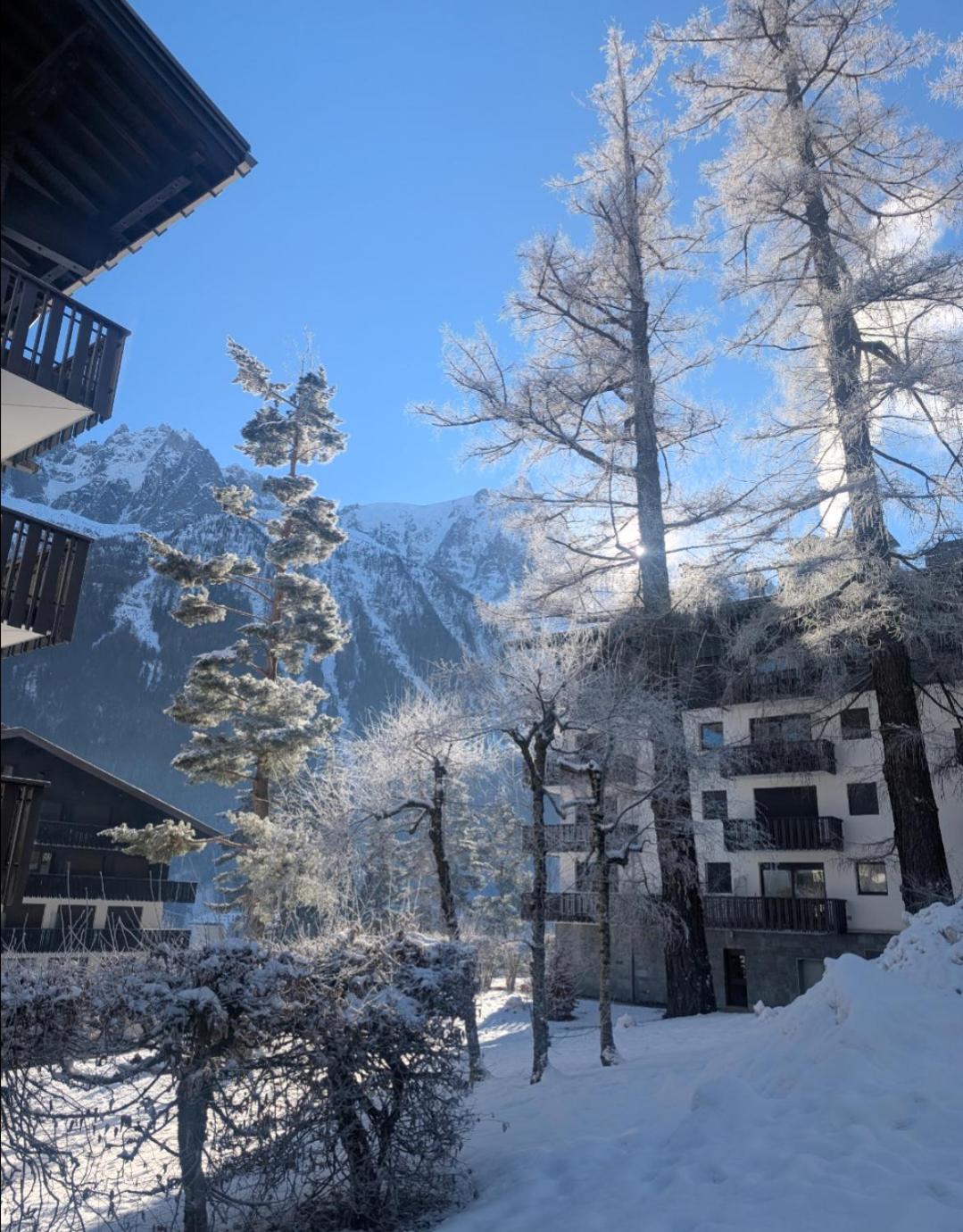 Au Petit Bois Apartment Chamonix Ngoại thất bức ảnh